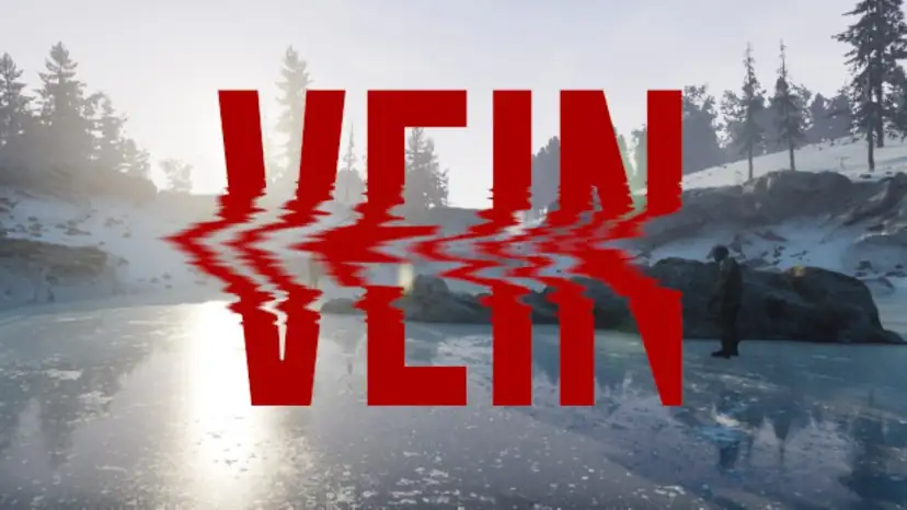 VEIN server hosting