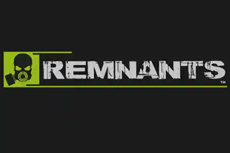 Game server rental, Remnants